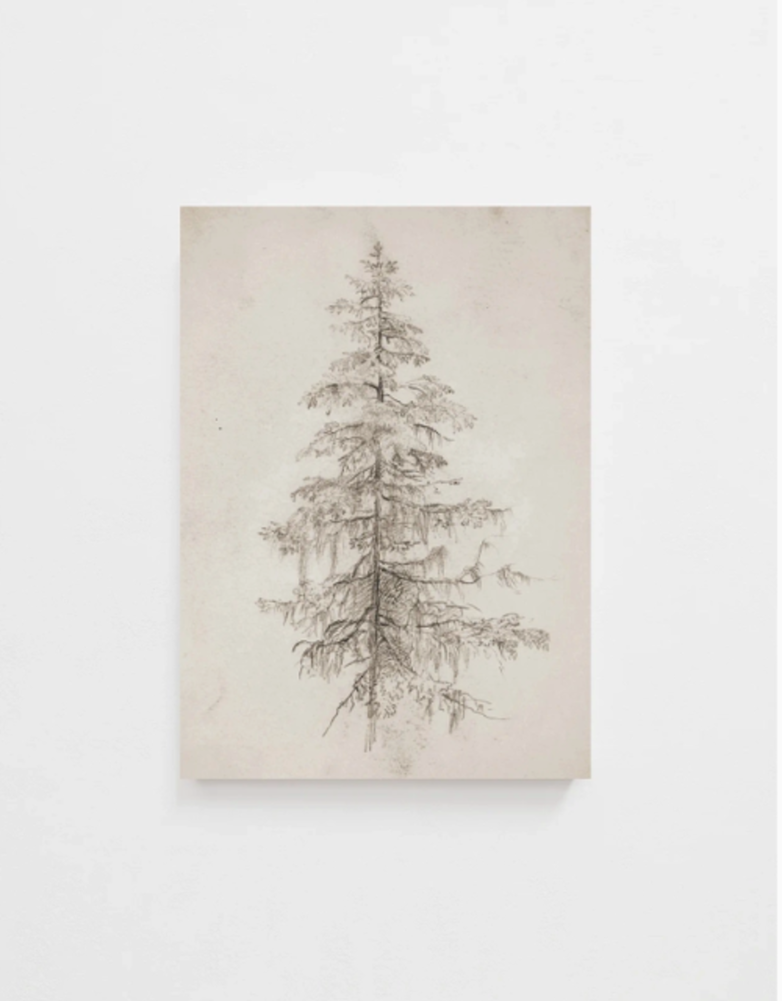 Tree Art Print 8 x 10
