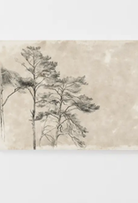 Tree Sketch II Vintage Art Print