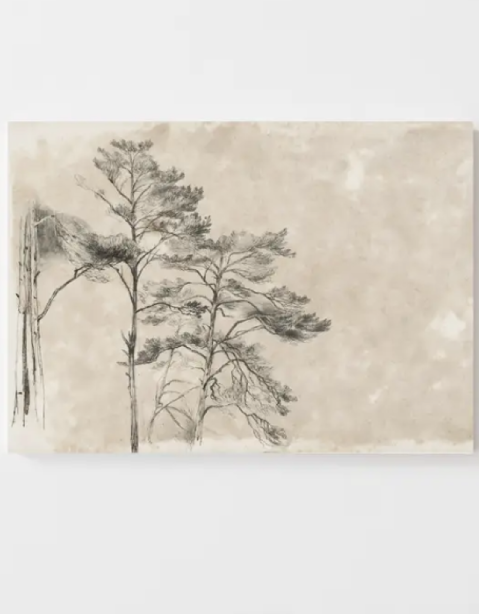 Tree Sketch II Vintage Art Print