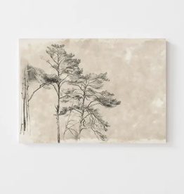 Tree Sketch II Vintage Art Print