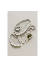 Ginkgo Spoons