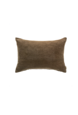 Vera Velvet Pillow, Clove 16x24