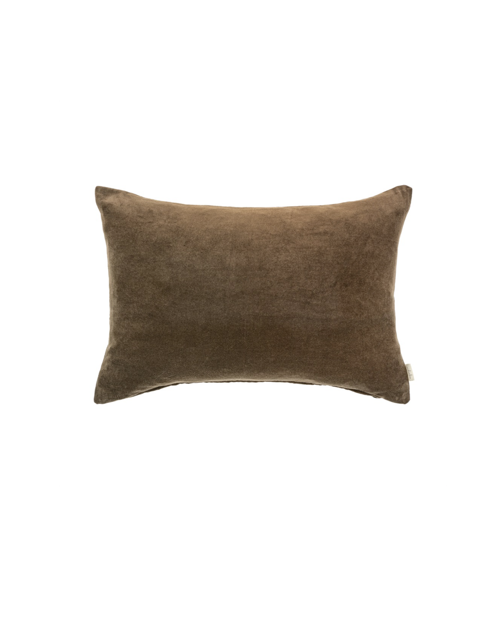 Vera Velvet Pillow, Clove 16x24