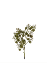 Wild Berry Spray, Green