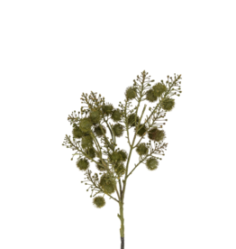 Wild Berry Spray, Green