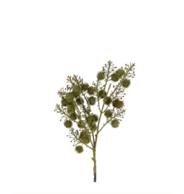 Wild Berry Spray, Green