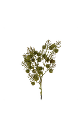 Wild Berry Spray, Green
