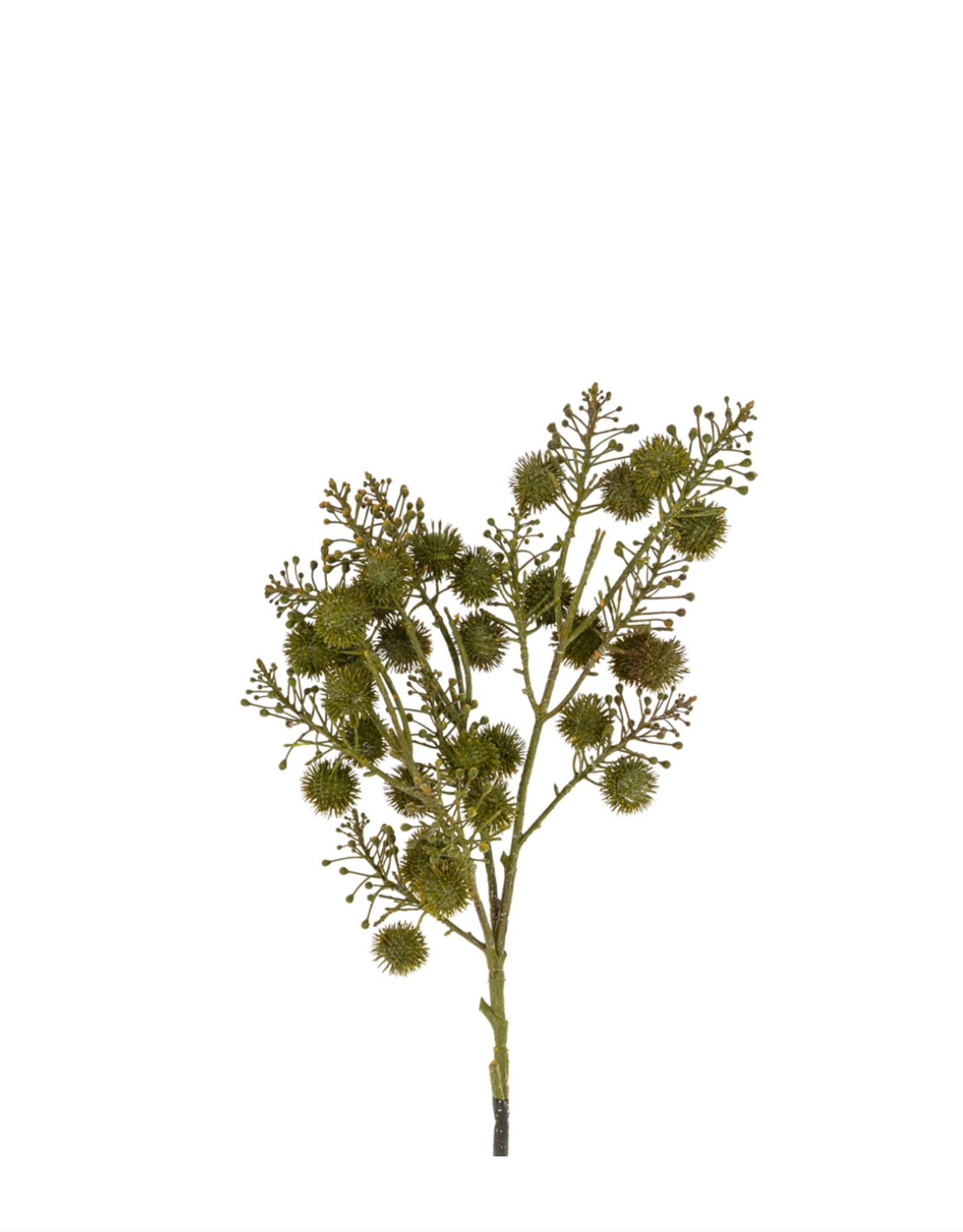 Wild Berry Spray, Green