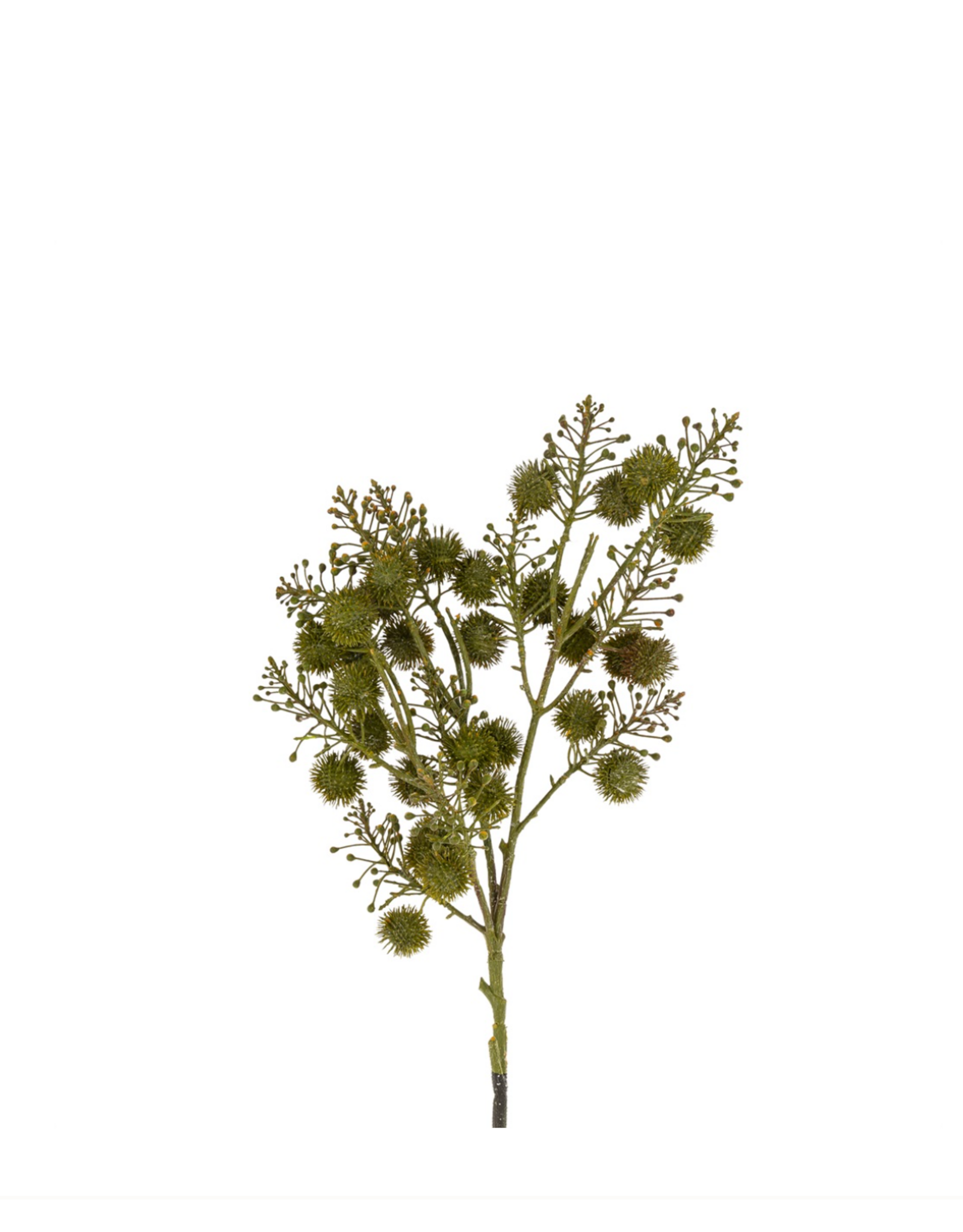 Wild Berry Spray, Green