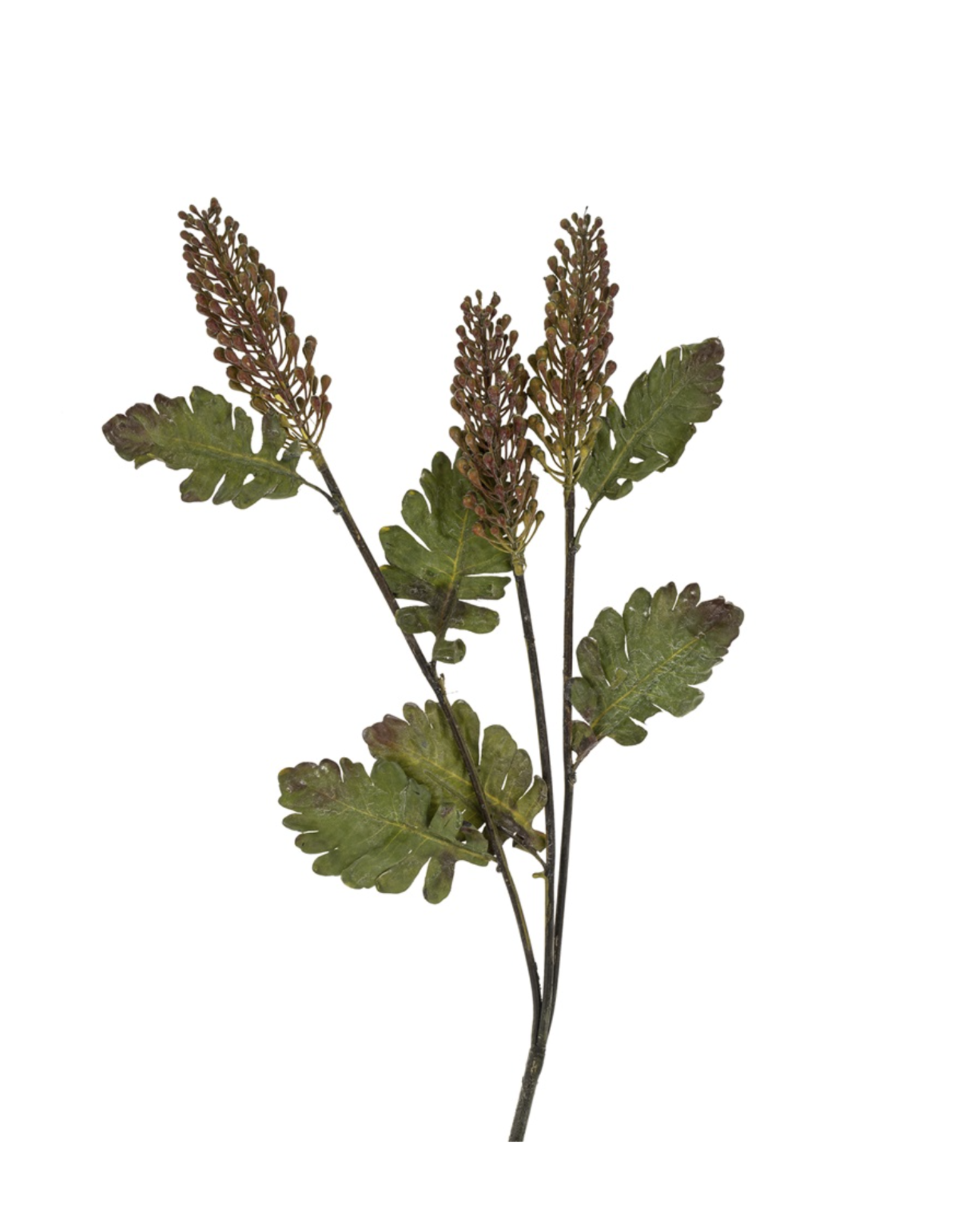 Astilbe Floral Spray