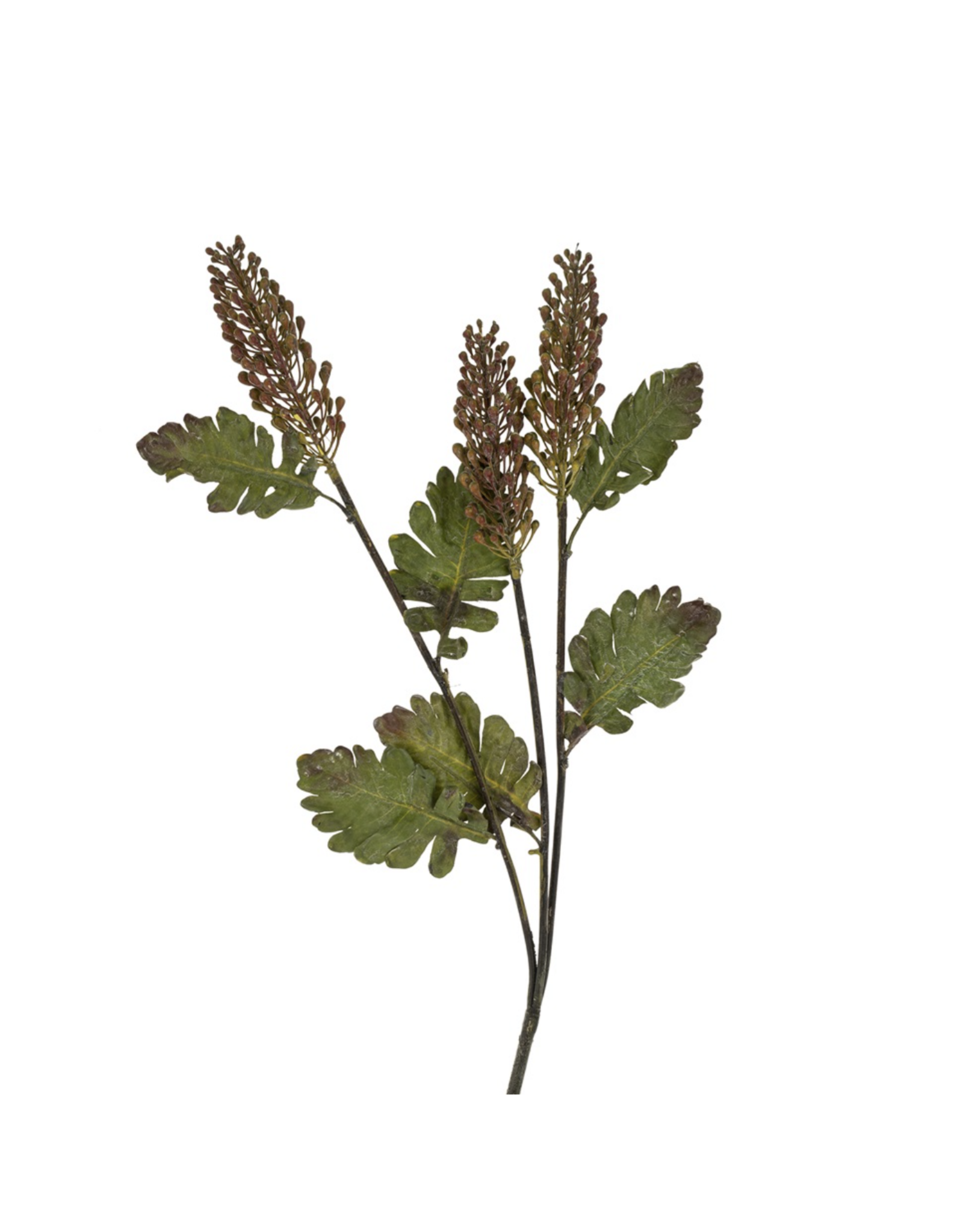 Astilbe Floral Spray
