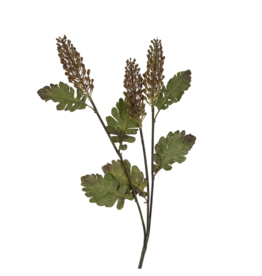 Astilbe Floral Spray