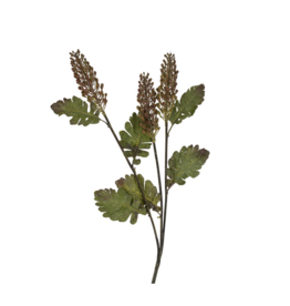 Astilbe Floral Spray