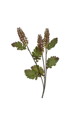 Astilbe Floral Spray