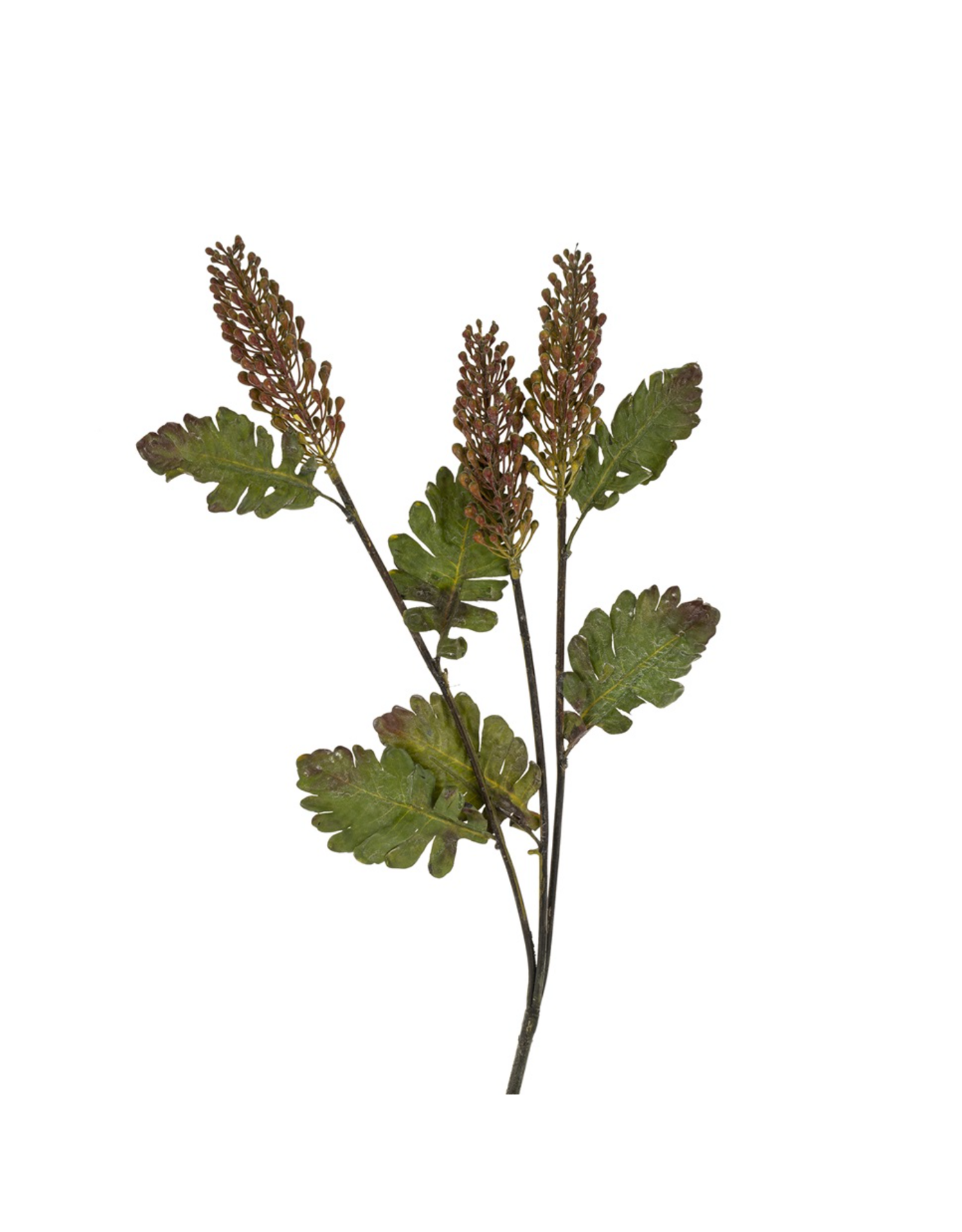 Astilbe Floral Spray