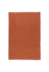 Cinnamon Stick Double Weave Dishtowels Set of 2