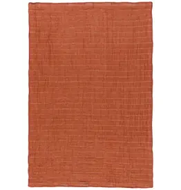 Cinnamon Stick Double Weave Dishtowels Set of 2