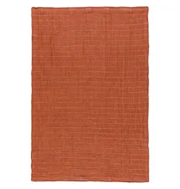 Cinnamon Stick Double Weave Dishtowels Set of 2