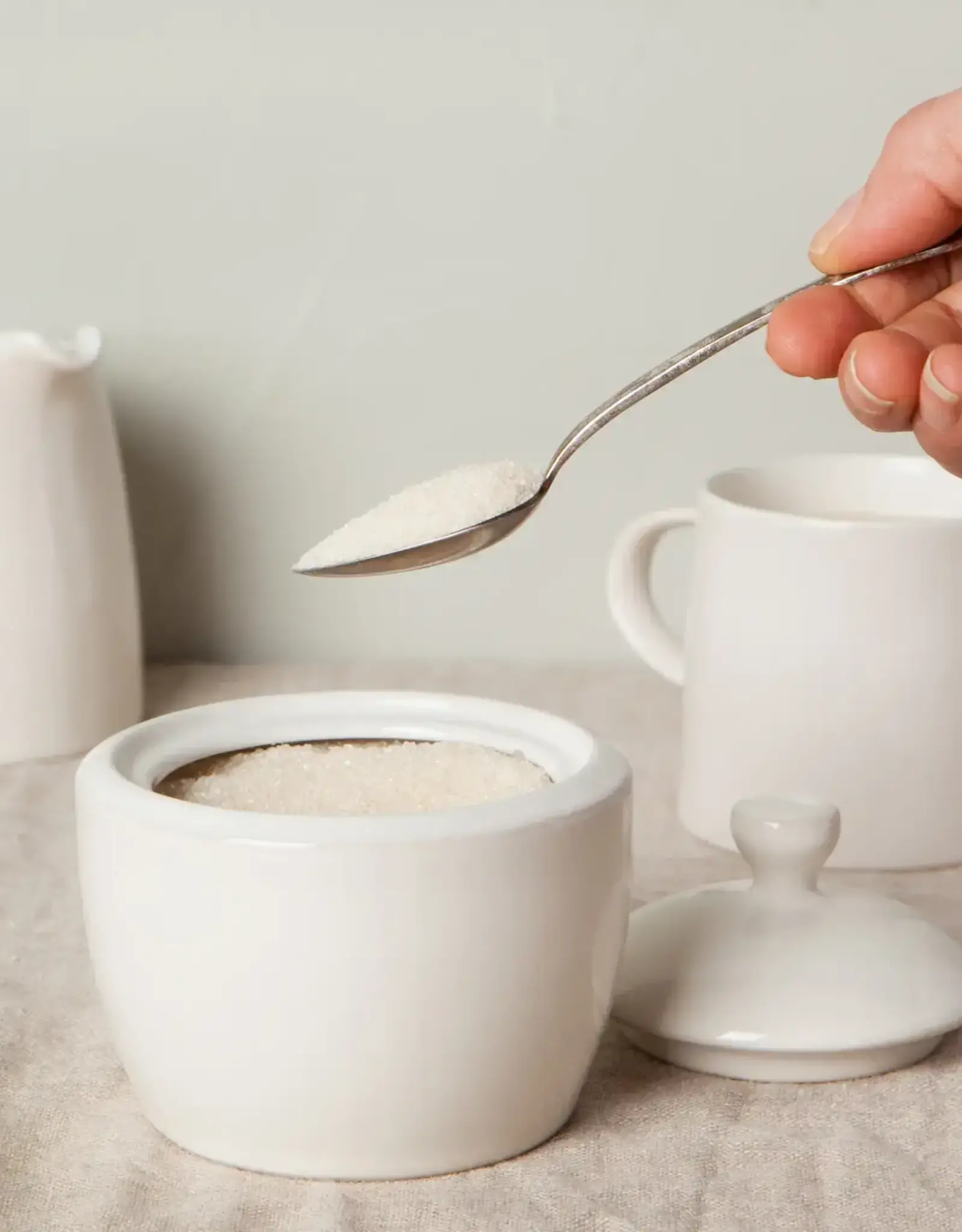 Aquarius Oyster Sugar Pot