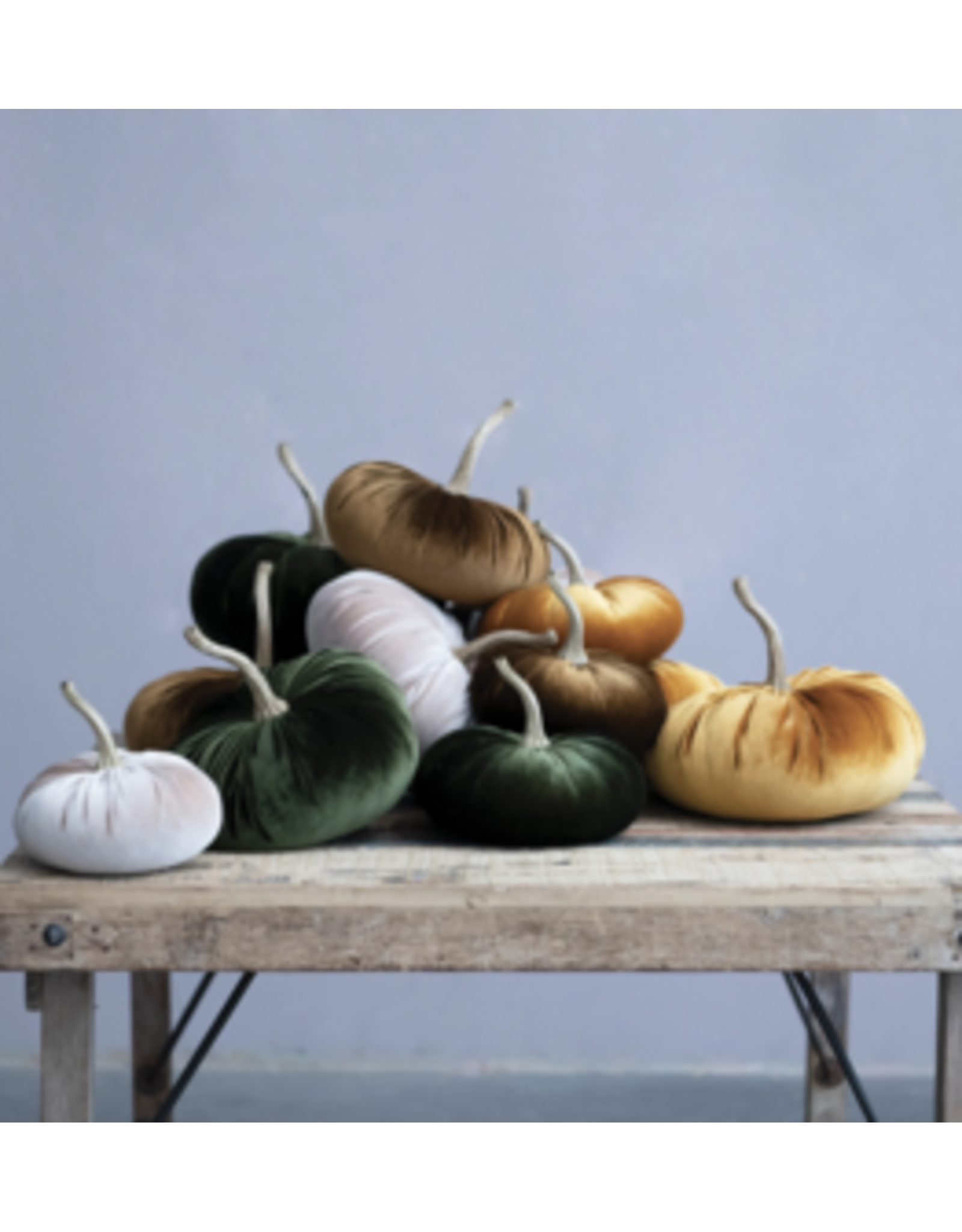 Velvet Pumpkin