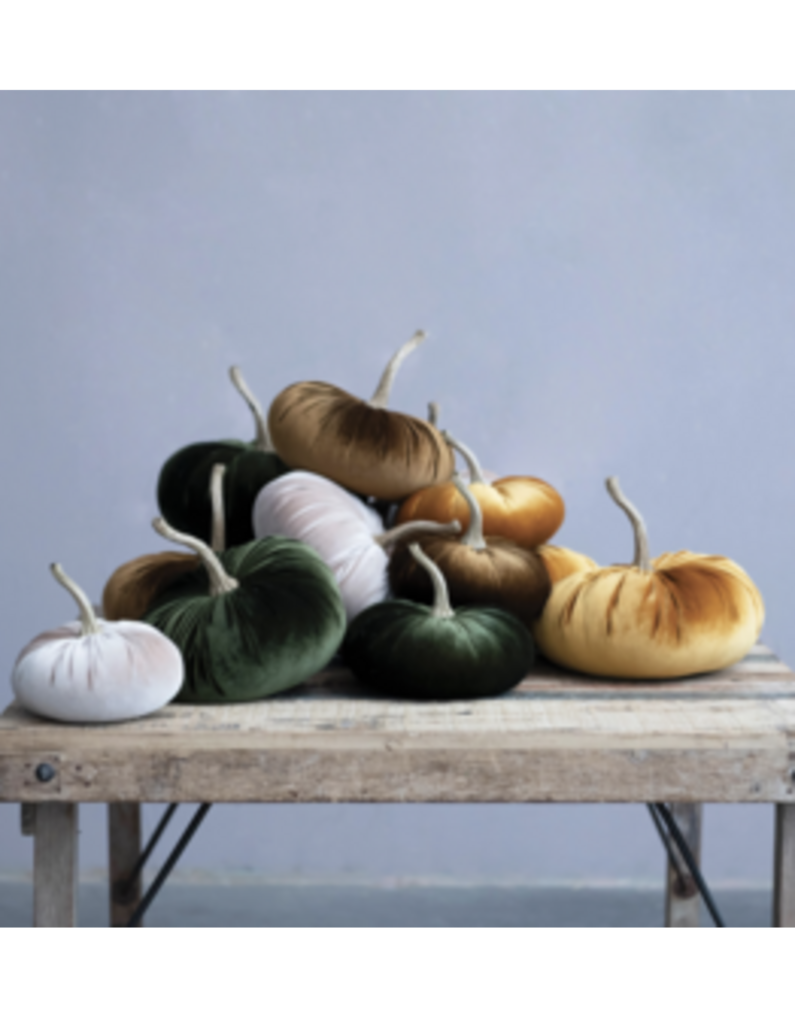Velvet Pumpkin
