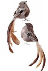 7" Natural Feather Long Tail Bird Clip