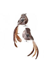 7" Natural Feather Long Tail Bird Clip