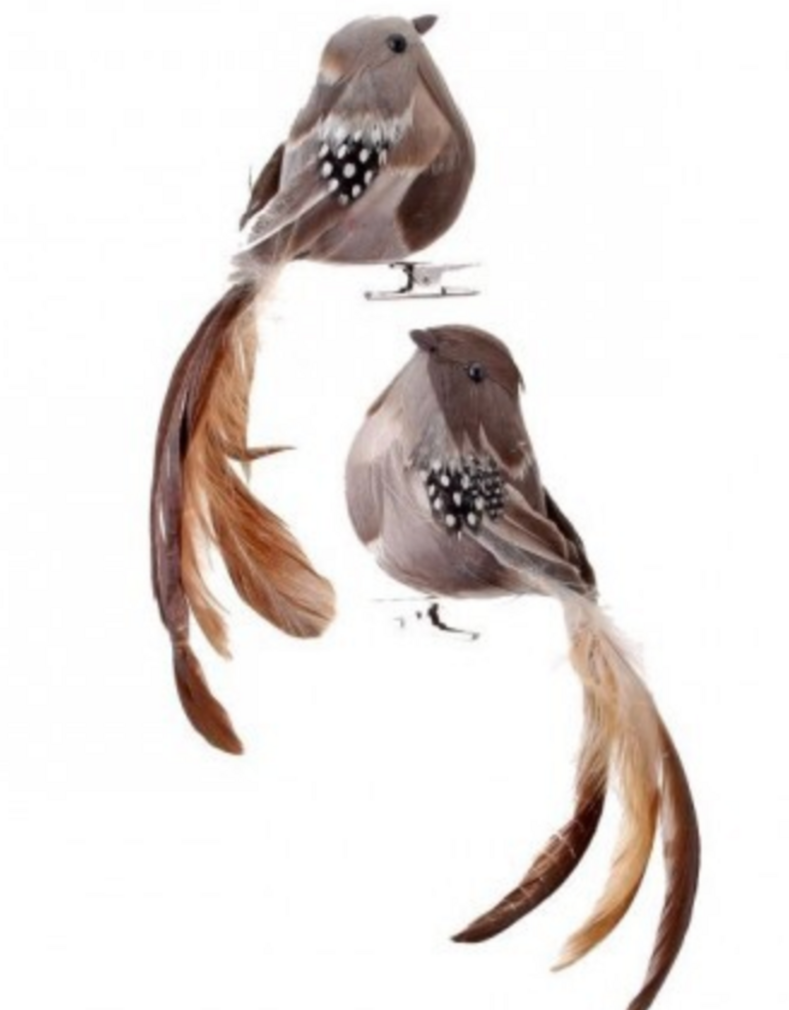 7" Natural Feather Long Tail Bird Clip