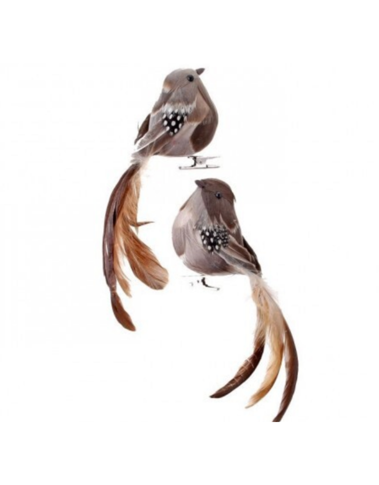 7" Natural Feather Long Tail Bird Clip