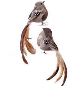 7" Natural Feather Long Tail Bird Clip