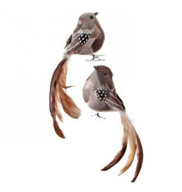 7" Natural Feather Long Tail Bird Clip