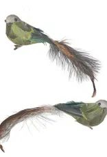 14" Deer Valley Feather Bird Clip Ornament