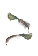 14" Deer Valley Feather Bird Clip Ornament