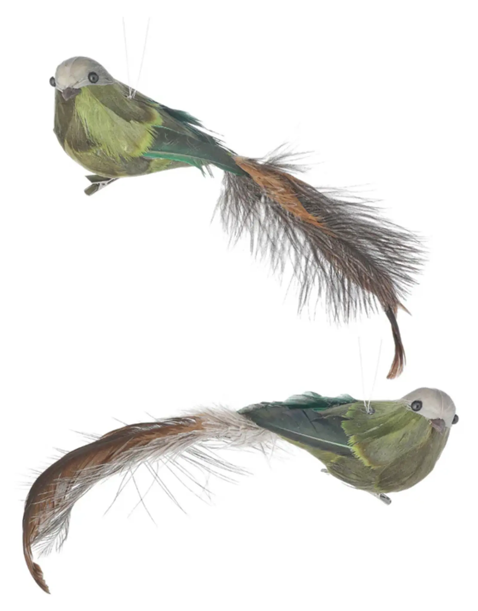 14" Deer Valley Feather Bird Clip Ornament