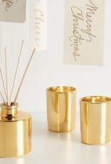 Frasier Fir Petite Gold Reed Diffuser