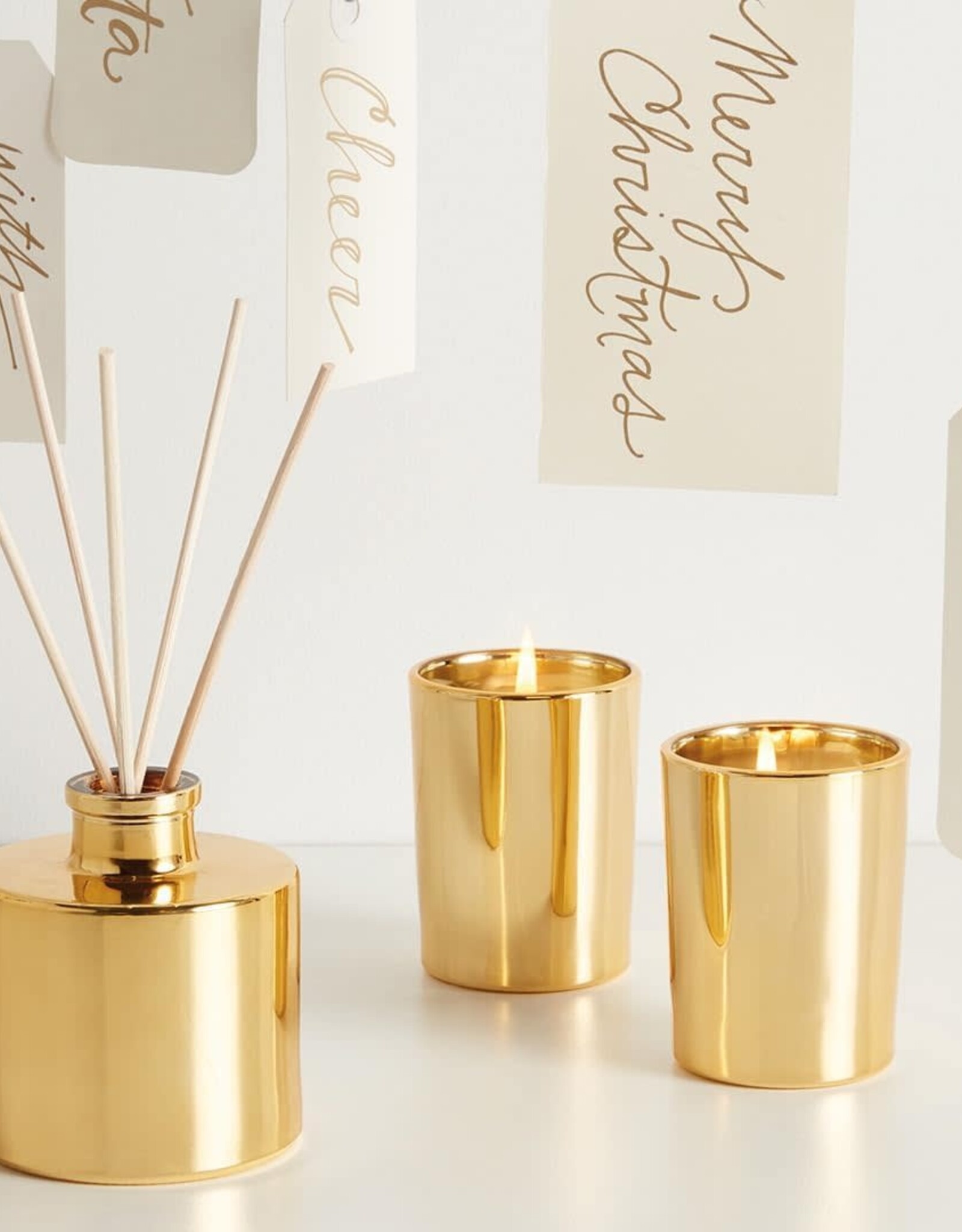 Frasier Fir Petite Gold Reed Diffuser