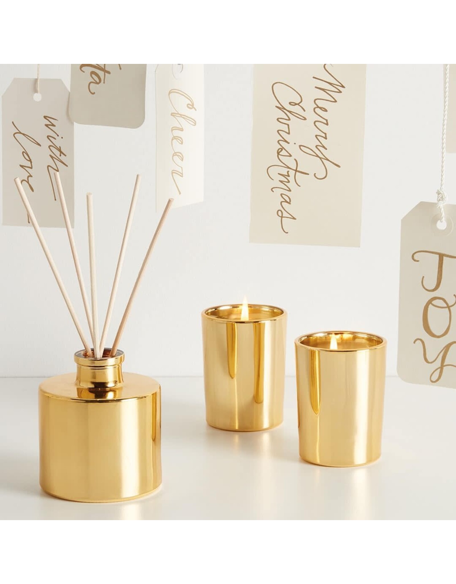 Frasier Fir Petite Gold Reed Diffuser