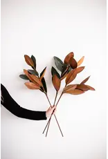 Magnolia Faux Leaves, Large