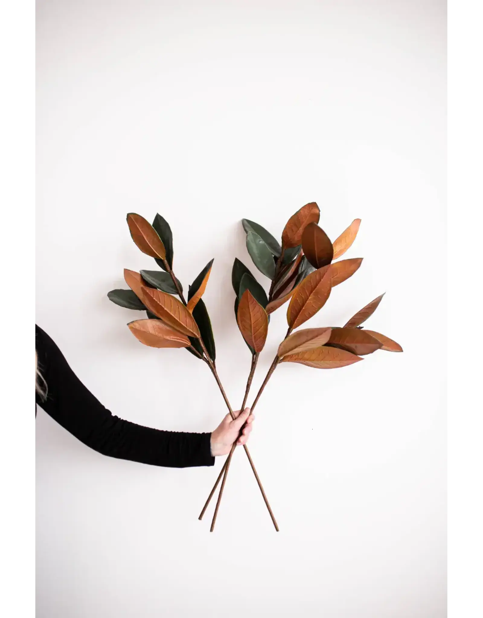 Magnolia Faux Leaves, Large