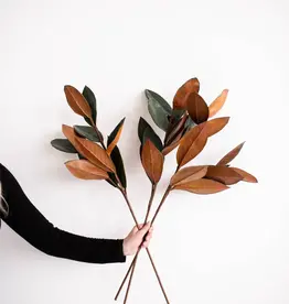 Magnolia Faux Leaves, Large