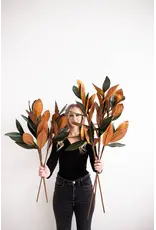 Magnolia Faux Leaves, Large