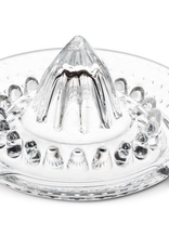 Citrus Reamer with Spout and Handle