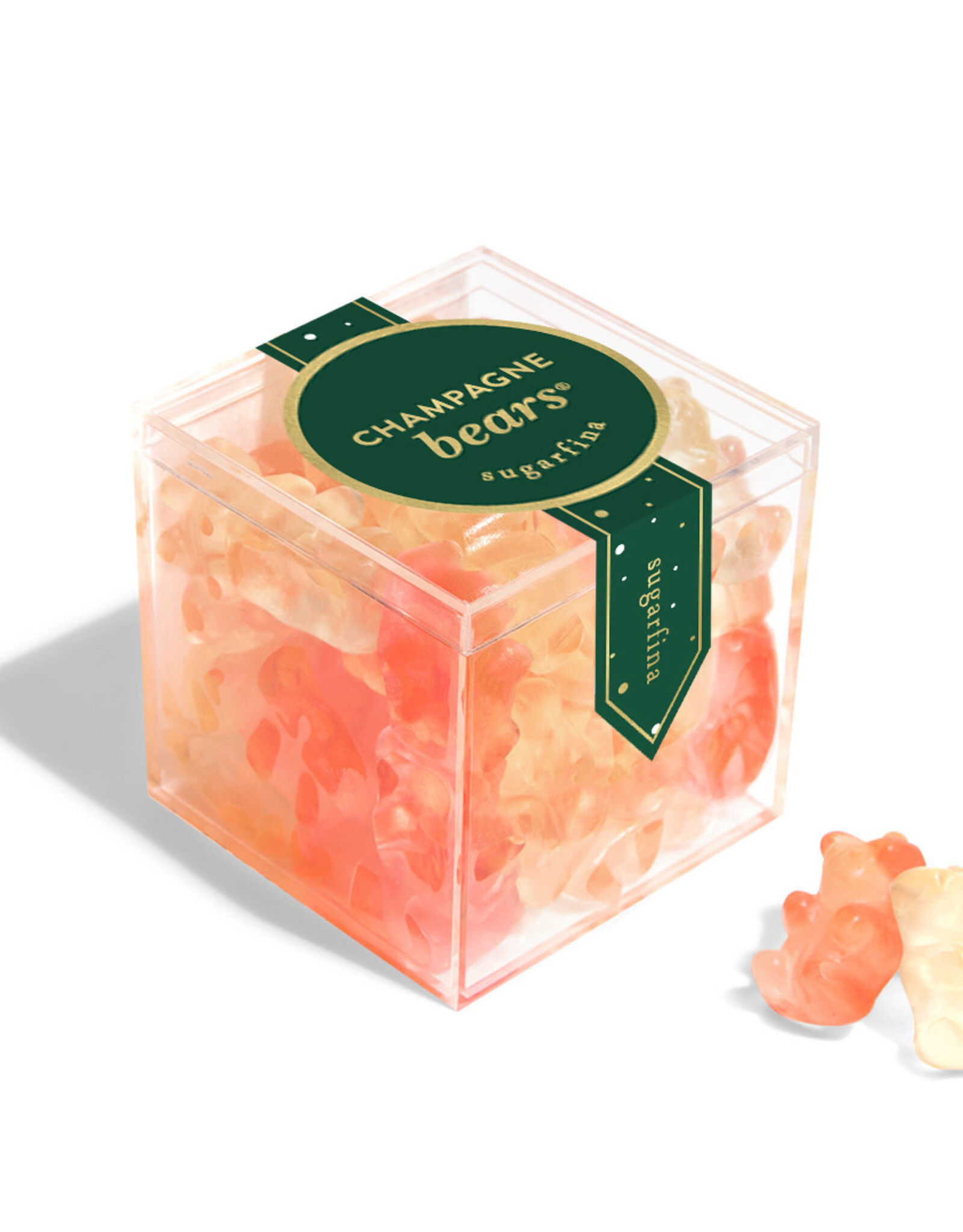 Champagne Bears - Small