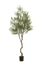 Faux Olive Tree Slim