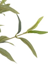Faux Olive Tree Slim