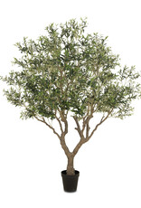 Faux Olive Tree Wide