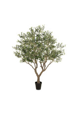 Faux Olive Tree Wide