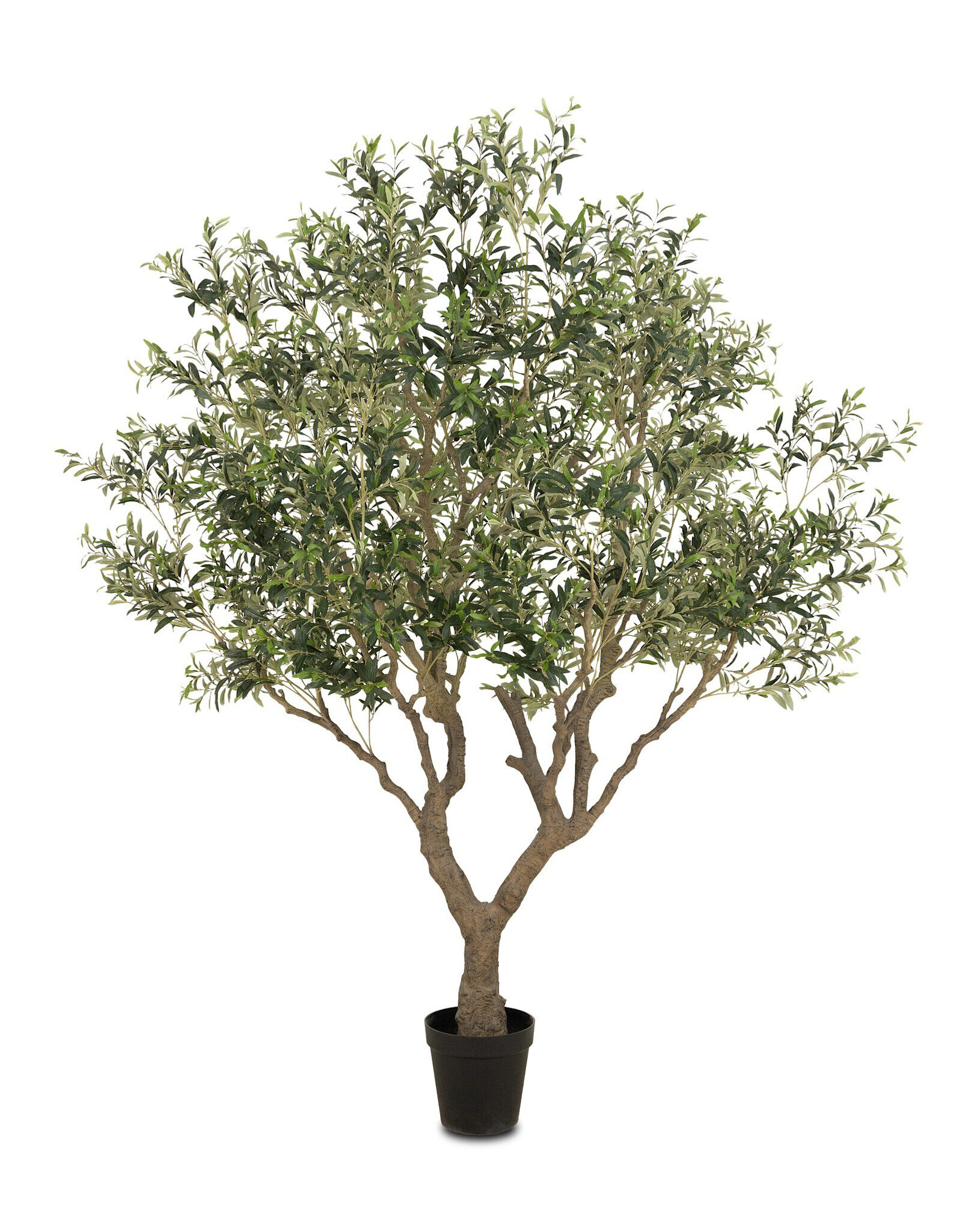 Faux Olive Tree Wide