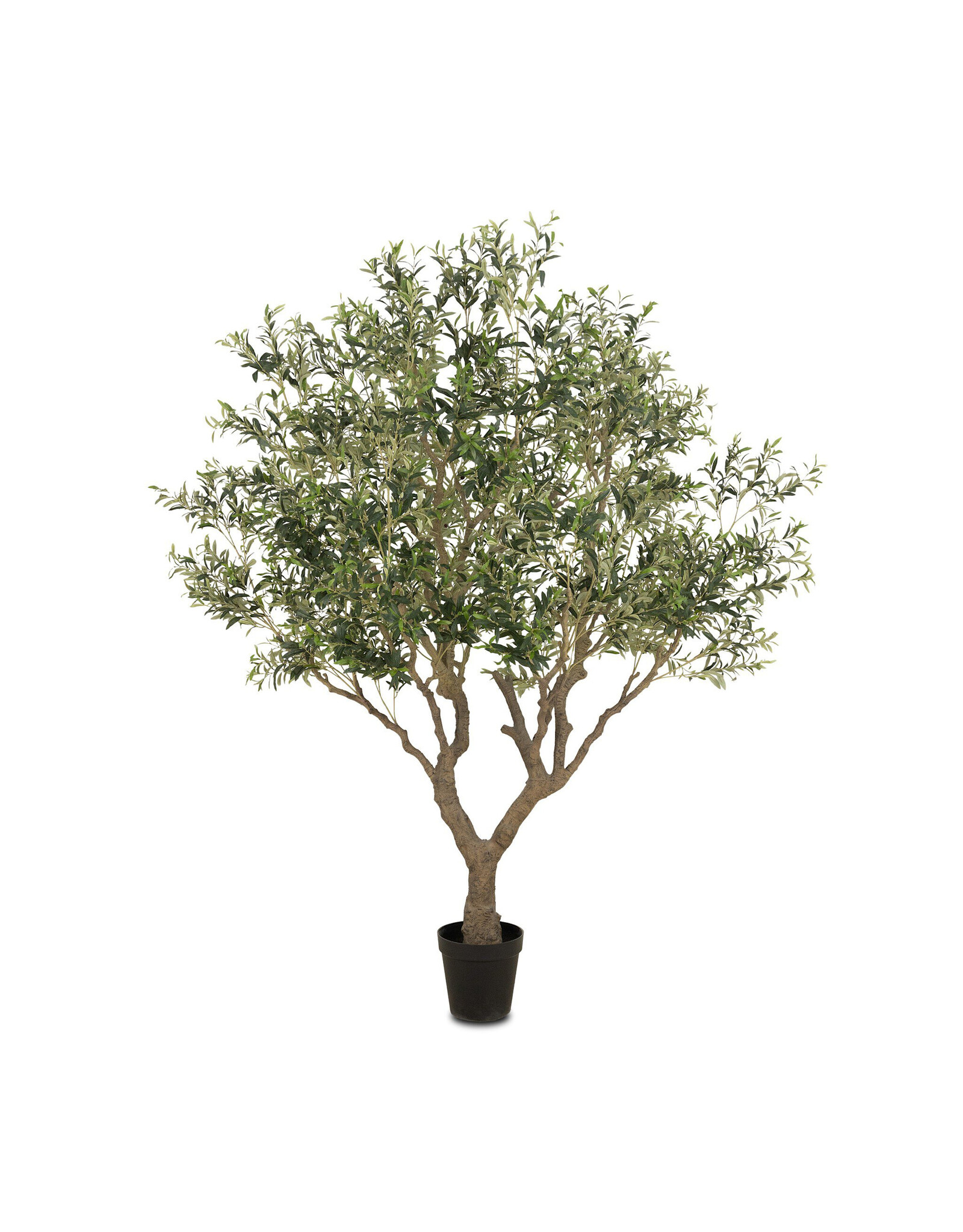 Faux Olive Tree Wide