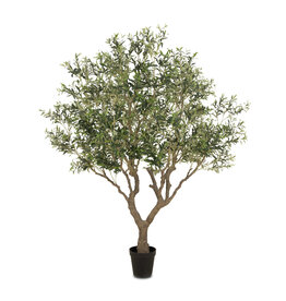 Faux Olive Tree Wide